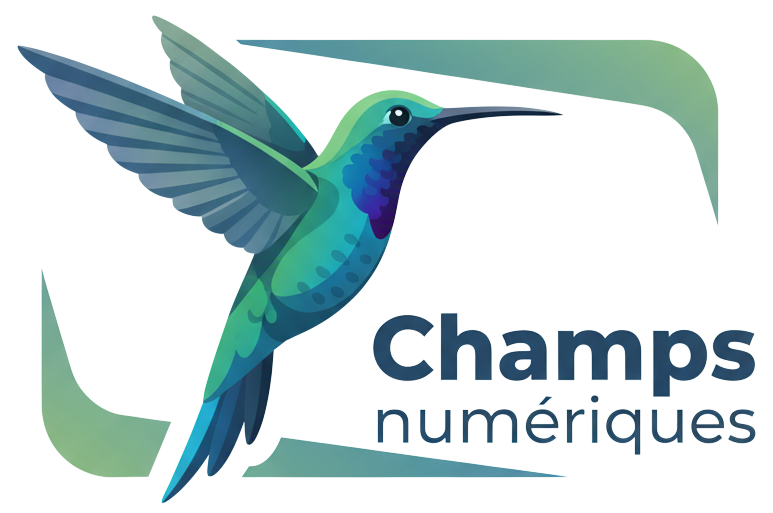 Champs numériques